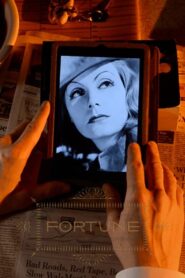 Fortune Online En Netflix