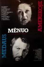 Medaus mėnuo Amerikoje Online En Netflix