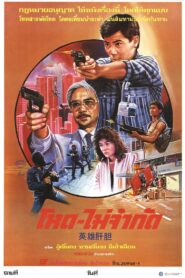 哈林行動 Online En Netflix