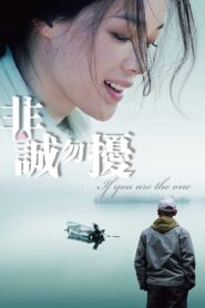非诚勿扰 Online En Netflix