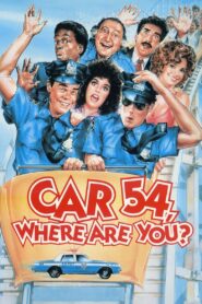 Car 54, Where Are You? Online En Netflix