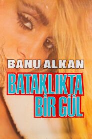 Bataklıkta Bir Gül Online En Netflix