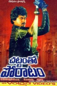 చట్టంతో పోరాటం Online En Netflix