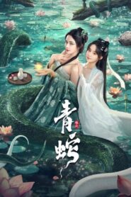 青蛇缘起 Online En Netflix