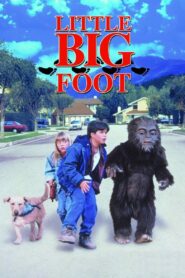 Little Bigfoot Online En Netflix