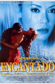 Encantado Online En Netflix
