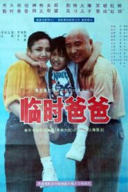 临时爸爸 Online En Netflix