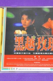 黑越玫瑰 Online En Netflix
