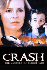 Crash: The Mystery of Flight 1501 Online En Netflix