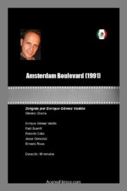Amsterdam Boulevard Online En Netflix