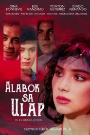 Alabok sa Ulap Online En Netflix