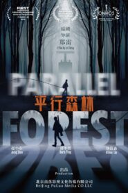 平行森林 Online En Netflix