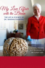 My Love Affair with the Brain Online En Netflix