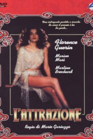 L’attrazione Online En Netflix