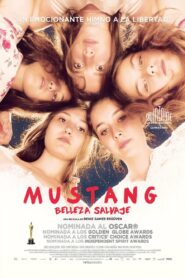 Mustang: Belleza Salvaje Online En Netflix