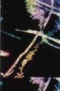 Cricket Requiem Online En Netflix