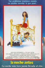 The Night Before Online En Netflix