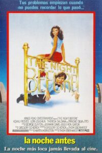 The Night Before Online En Netflix