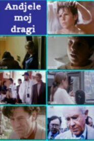 Anđele moj dragi Online En Netflix