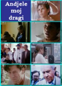 Anđele moj dragi Online En Netflix
