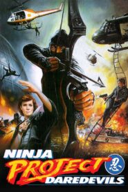 Ninja Project Daredevils Online En Netflix