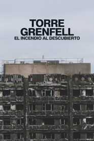 Torre Grenfell: El incendio al descubierto Online En Netflix