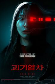 괴기열차 Online En Netflix