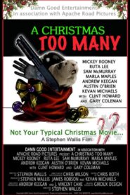 A Christmas Too Many Online En Netflix