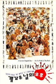 개같은 날의 오후 Online En Netflix