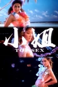 小姐 Online En Netflix