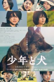 少年と犬 Online En Netflix