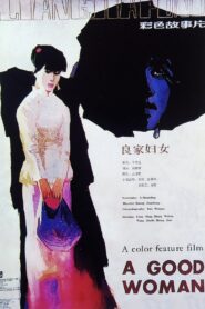 良家妇女 Online En Netflix