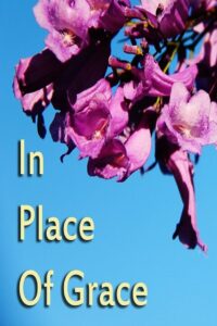 In Place of Grace Online En Netflix