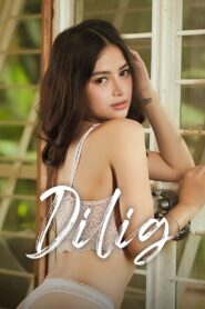 Dilig Online En Netflix