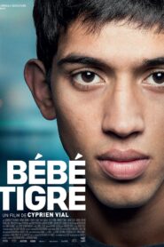 Bébé Tigre Online En Netflix