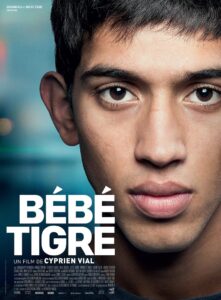 Bébé Tigre Online En Netflix