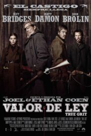 Temple de Acero Online En Netflix