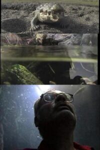 Aquatica Online En Netflix