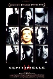 La Sentinelle Online En Netflix