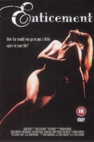 Enticement Online En Netflix