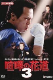 大阪最強伝説 喧嘩の花道3 Online En Netflix