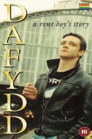 Dafydd Online En Netflix