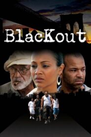 Blackout Online En Netflix