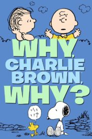 Why, Charlie Brown, Why? Online En Netflix