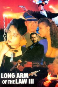 省港旗兵第三集 Online En Netflix