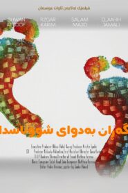 گەڕان بە دوای شوناسدا Online En Netflix