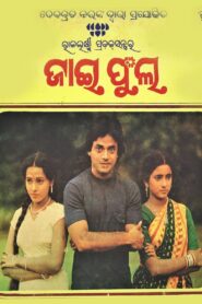 ଜାଇ ଫୁଲ Online En Netflix