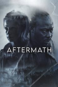 Aftermath Online En Netflix