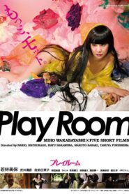 プレイルーム Online En Netflix