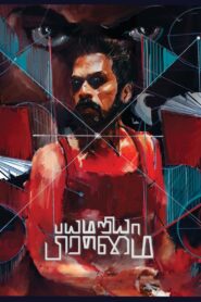பயமறிய பிரம்மை Online En Netflix